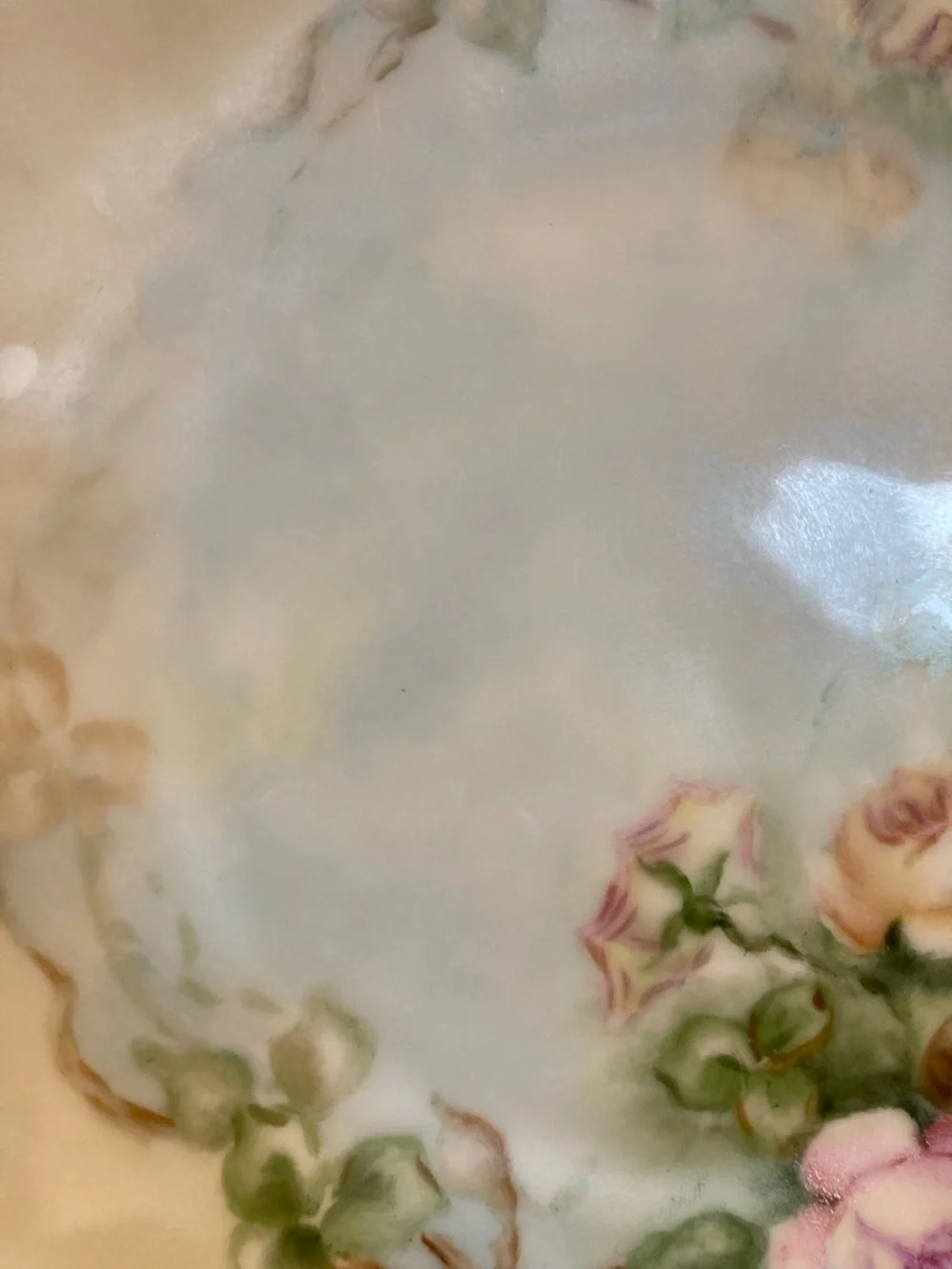 FL Bavaria Floral Ceramic Decorative Plate Pink Roses Vintage Cottagecore